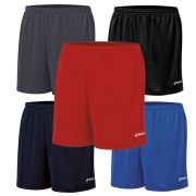 ASICS Men's Rival II Shorts (TF3086)