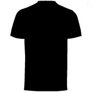 Mystery Shirt LARGE (Red Shirt Out of Stock)