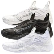 Mizuno Wave Momentum 3 Men's Indoor Shoes (430319)